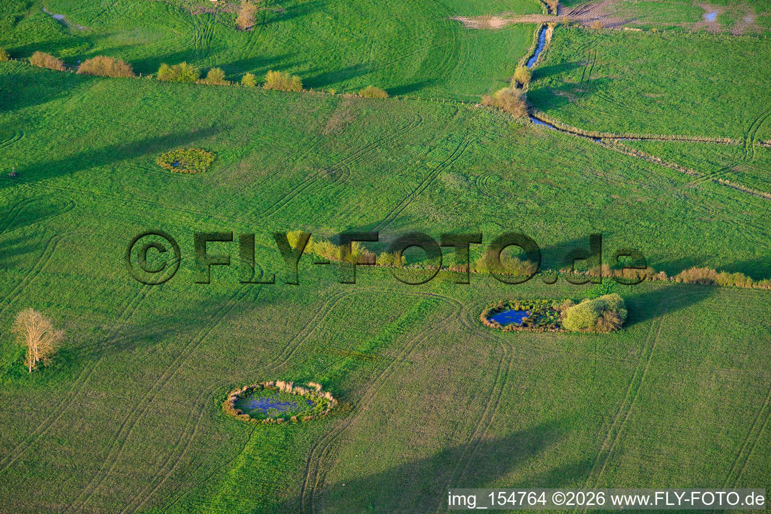 Circular waterholes in meadows in Grostenquin in the state Moselle, France