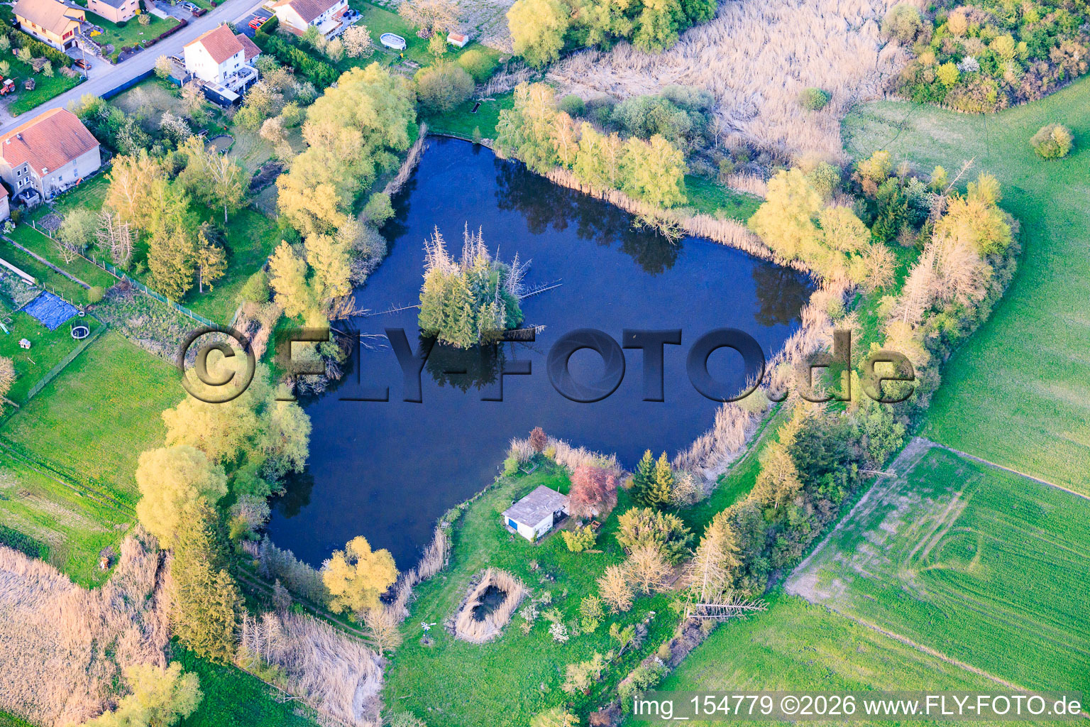 Pond by the millrace in Leyweiler in the state Moselle, France