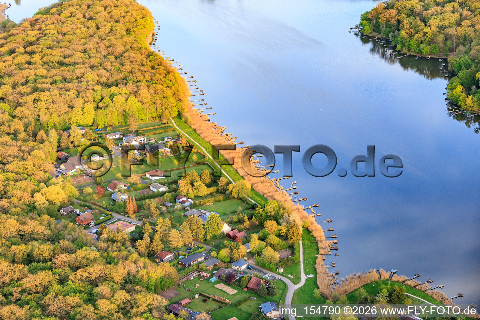 Fishing piers in the reeds on the shore of the Etang des Marais in the forest in Rémering-lès-Puttelange in the state Moselle, France