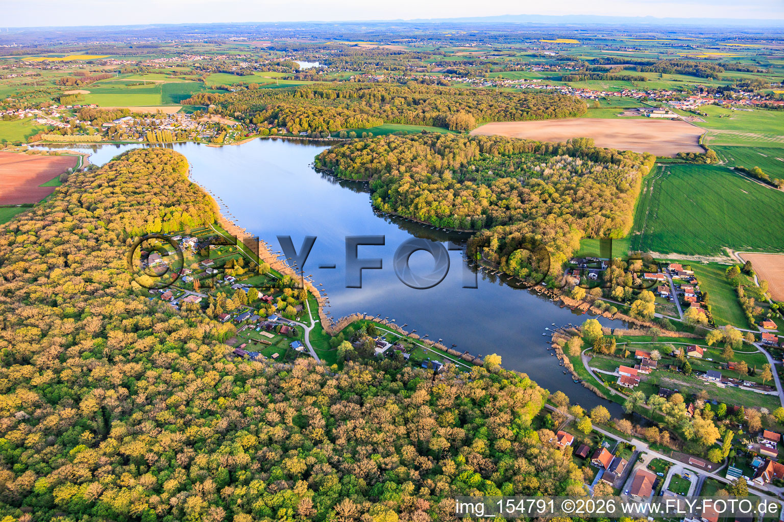 Etang des marais in the forest in Rémering-lès-Puttelange in the state Moselle, France
