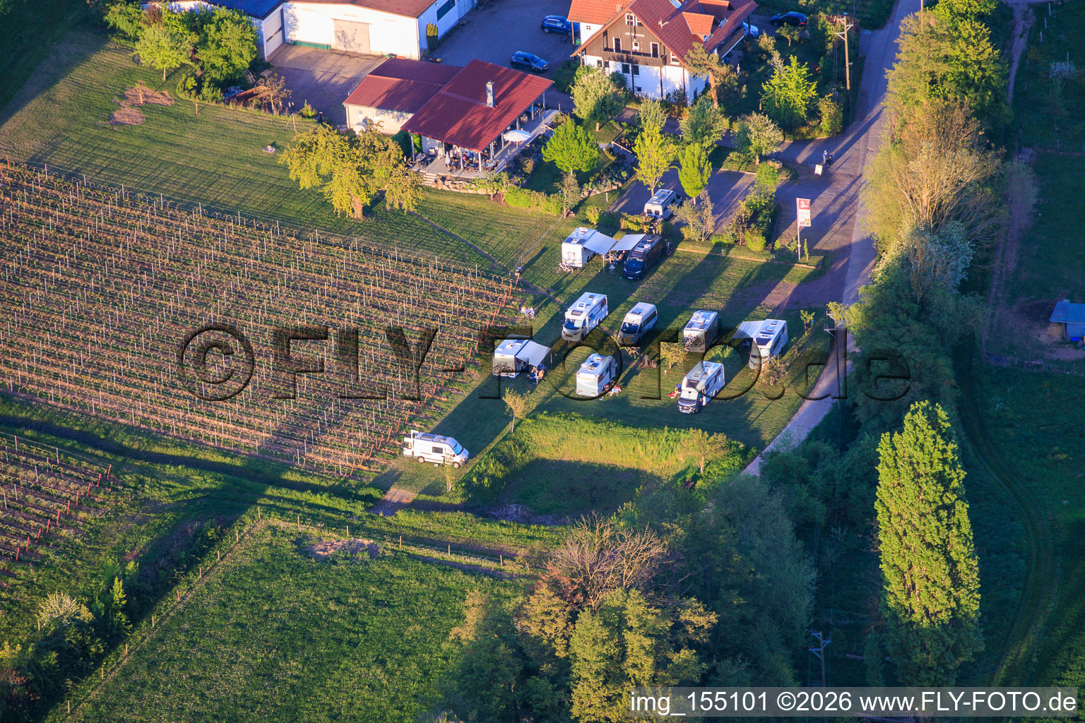Motorhome parking space at the Junker winery at Sonnenberghof in Impflingen in the state Rhineland-Palatinate, Germany