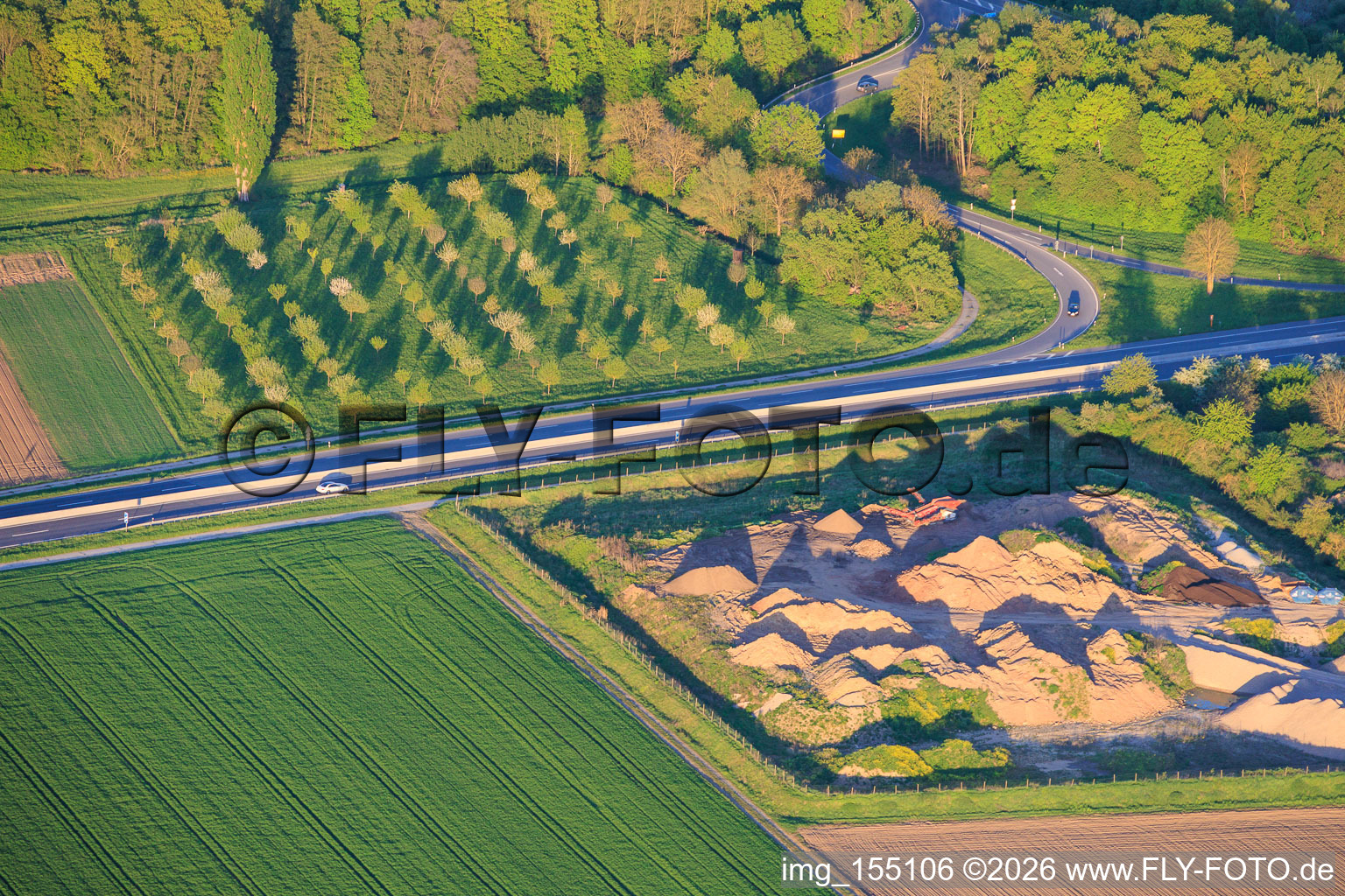 Tree nursery at the exit Rohrbach of the A65 in Rohrbach in the state Rhineland-Palatinate, Germany