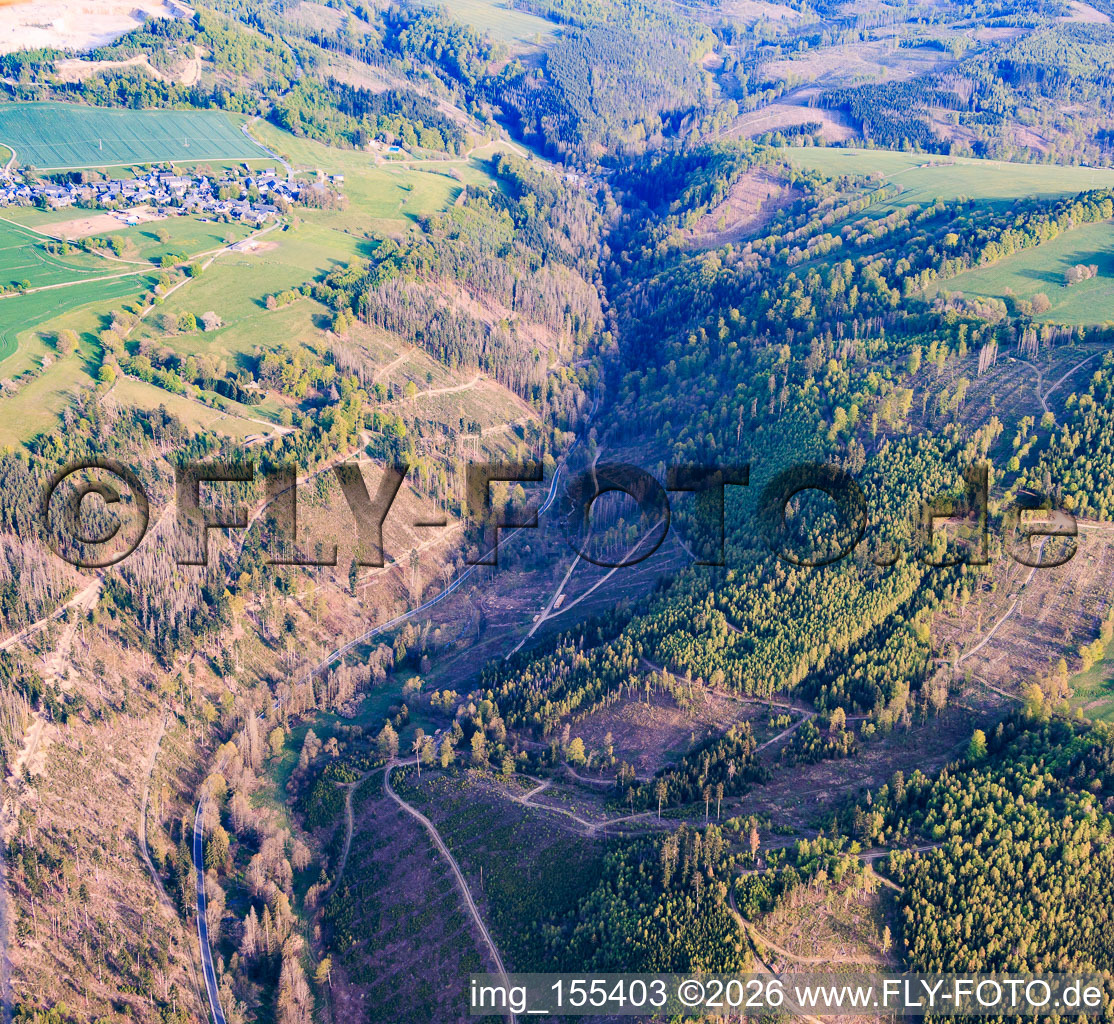 Thuringian forest areas in the Sornmitz valley, severely damaged by bark beetles, with the B90 highway. in the district Thierbach in Remptendorf in the state Thuringia, Germany