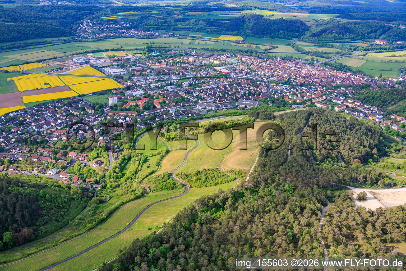 Vineyards of terroir f Hammelburg - Viticulture in Franconia in Hammelburg in the state Bavaria, Germany