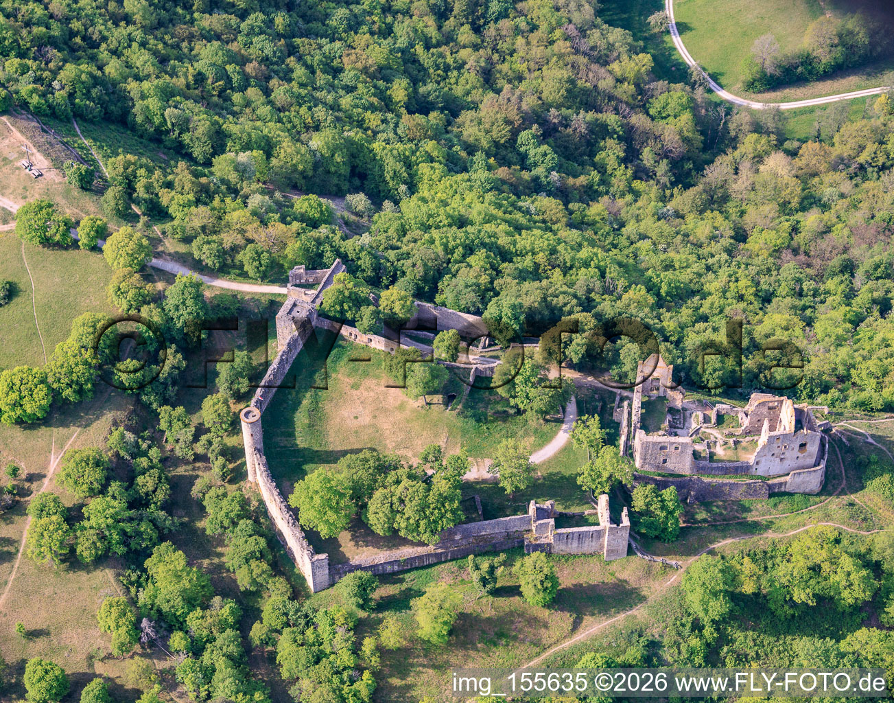 Nature reserve “Ruine Homburg” and Homburg castle ruins near Gössenheim in Gössenheim in the state Bavaria, Germany