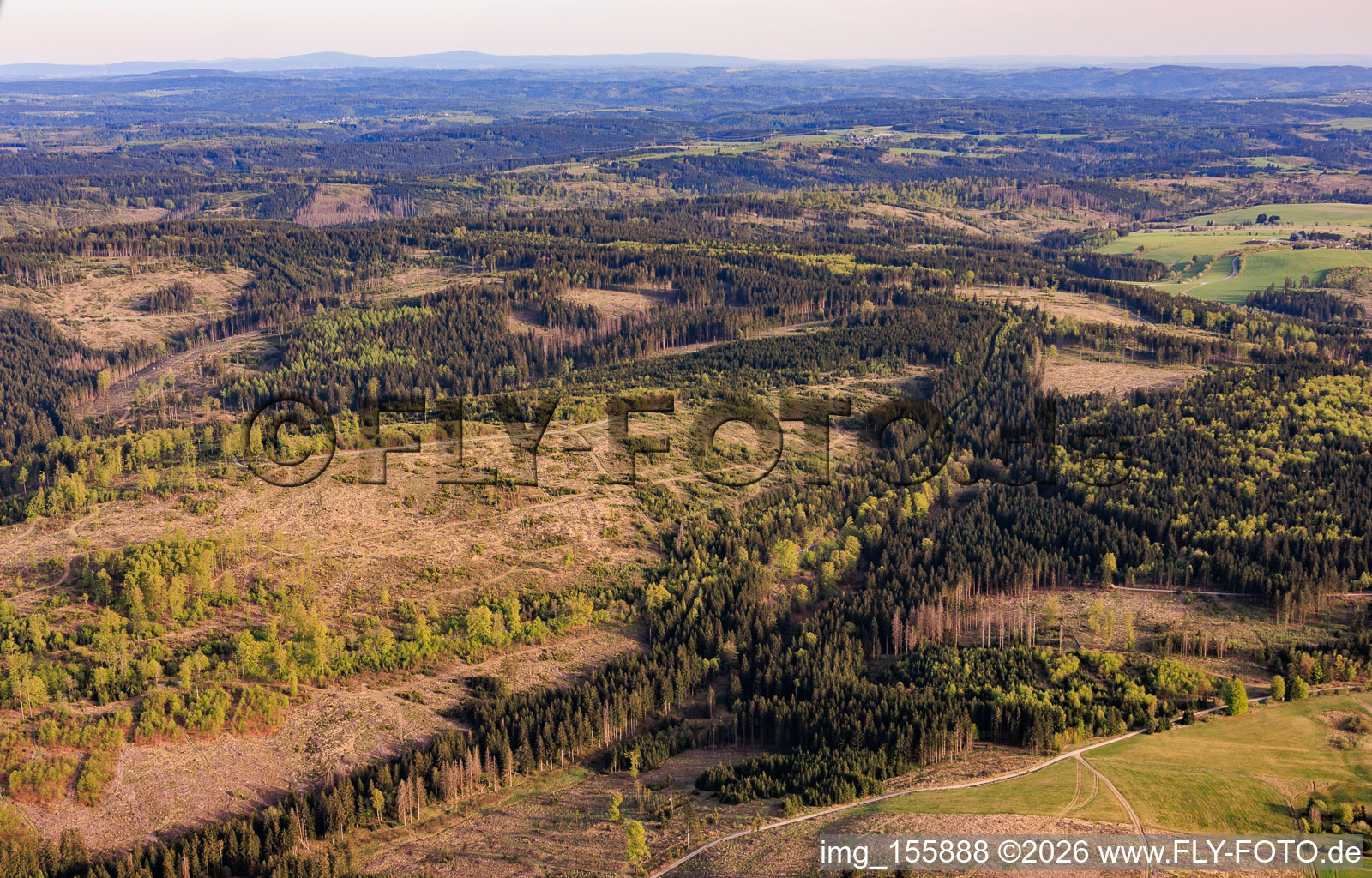 Former inner-German border between Bavaria and Thuringia with Thuringian forest areas severely damaged by bark beetles in Lehesten in the state Thuringia, Germany