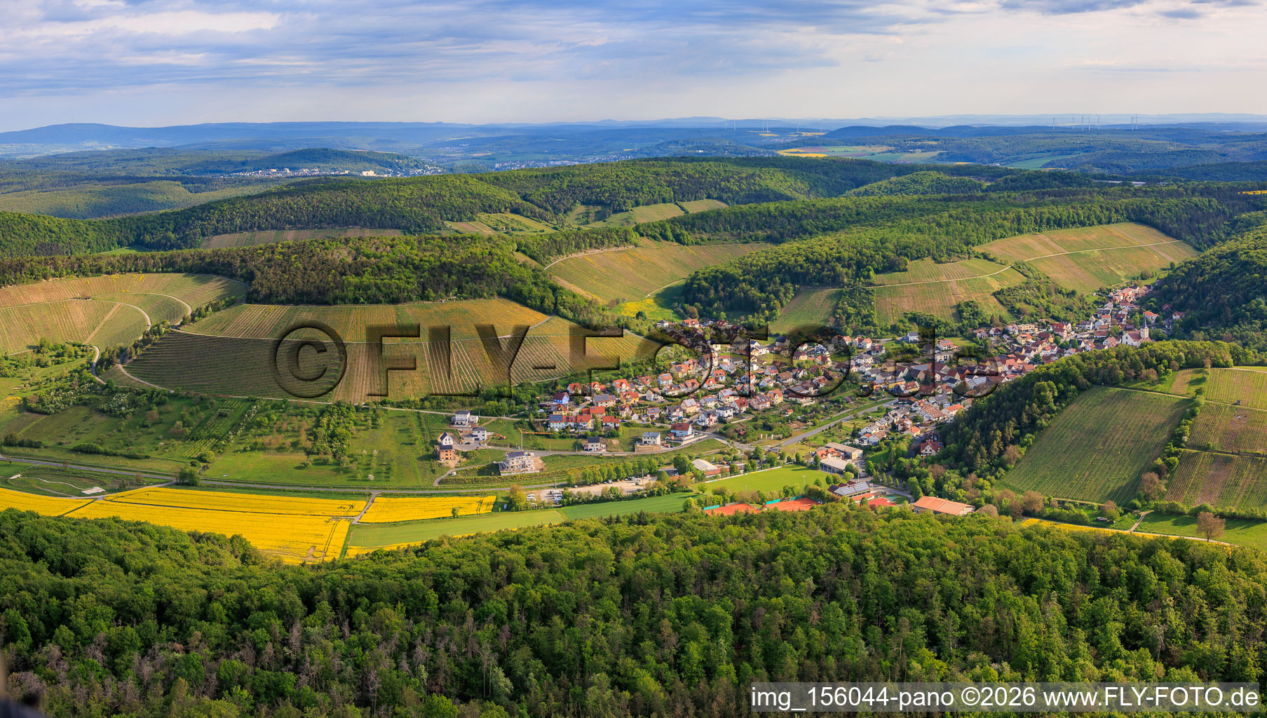 Vineyards between valley and forest facing south in Ramsthal in the state Bavaria, Germany
