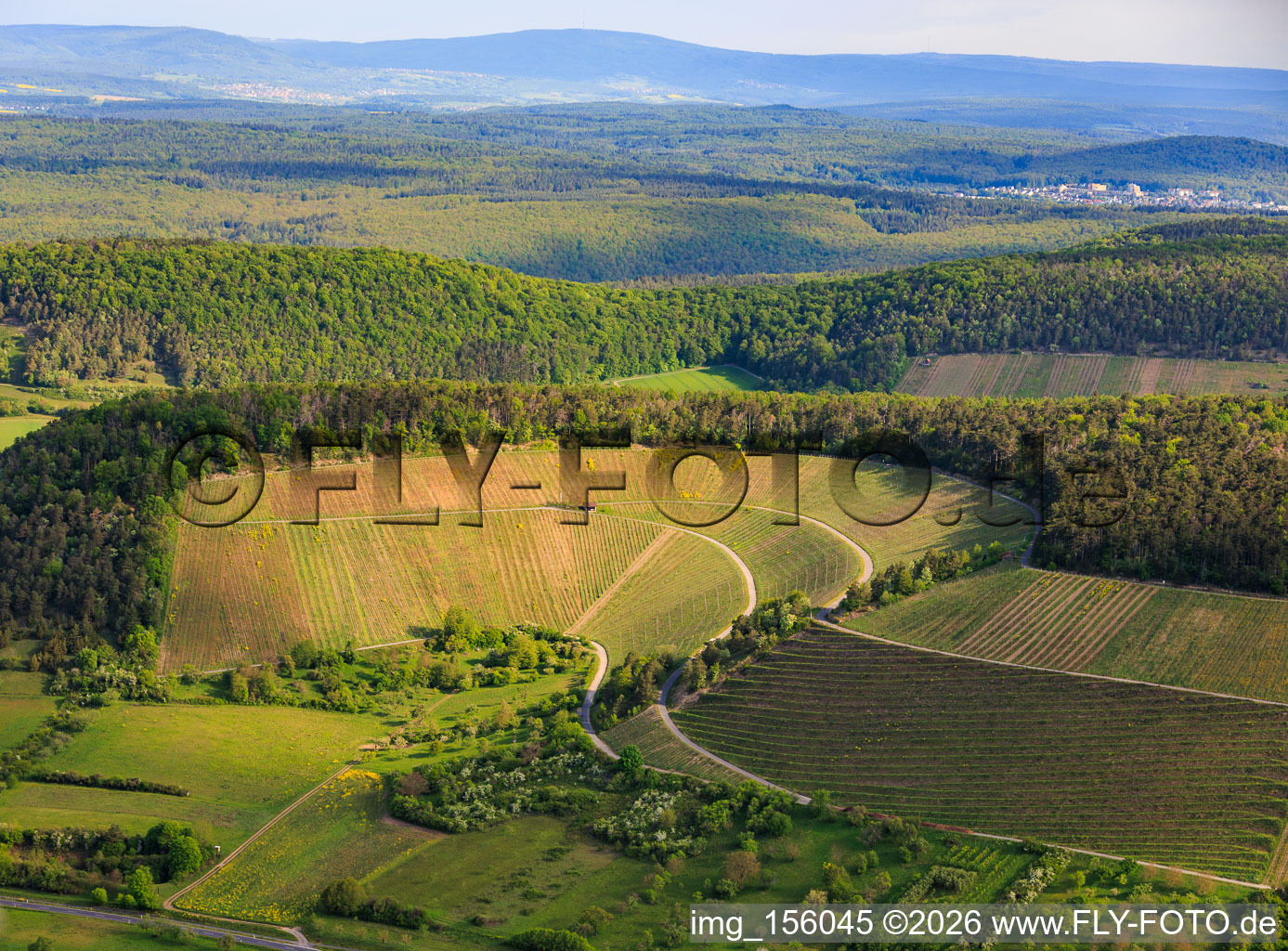 Vineyards between valley and forest facing south in Ramsthal in the state Bavaria, Germany
