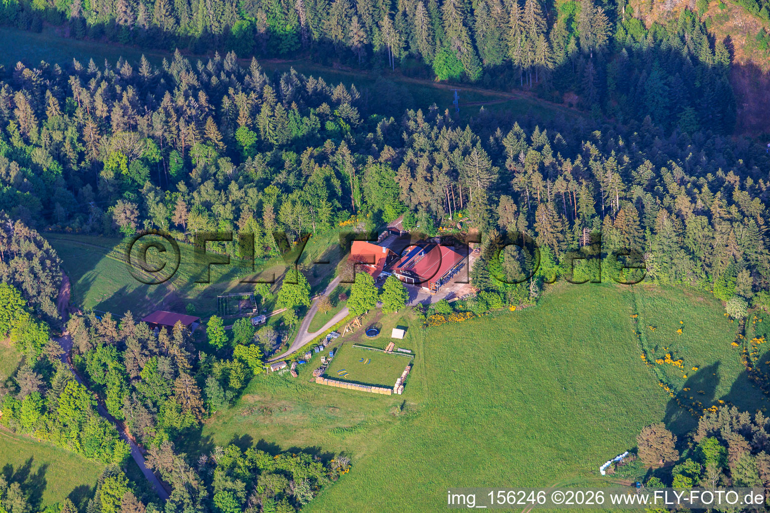 Relocated farms in Hinterholz in the district Kienbächle in Schiltach in the state Baden-Wuerttemberg, Germany