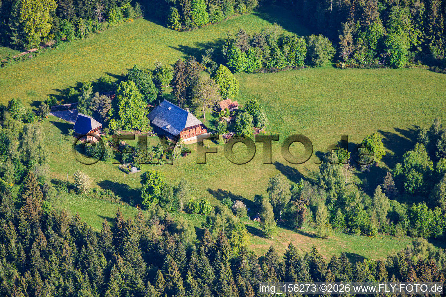Historic Black Forest farmhouse Hinterer Liefersbergerhof at Moosenmättle in the district Diesenhof in Lauterbach in the state Baden-Wuerttemberg, Germany