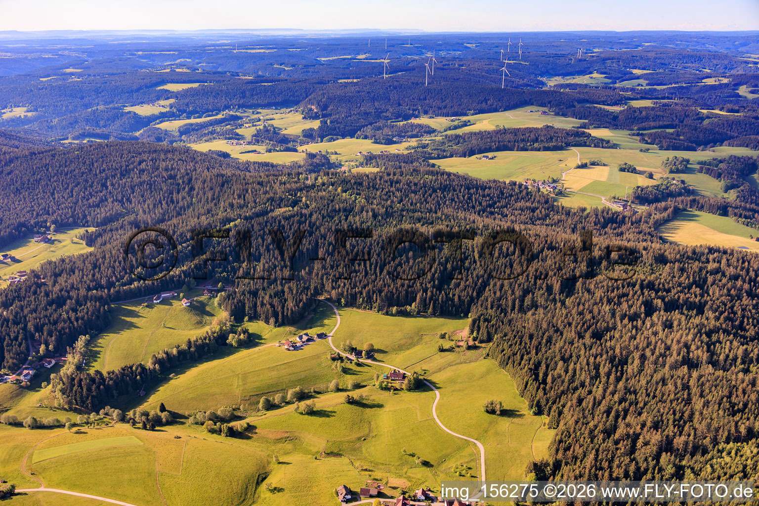 Moss forest from the north in the district Diesenhof in Lauterbach in the state Baden-Wuerttemberg, Germany