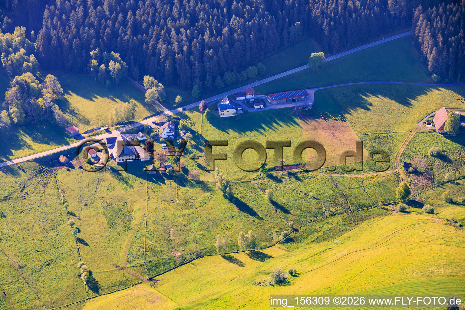 Oberreichenbach Waldhasenhof in the district Reichenbach in Hornberg in the state Baden-Wuerttemberg, Germany