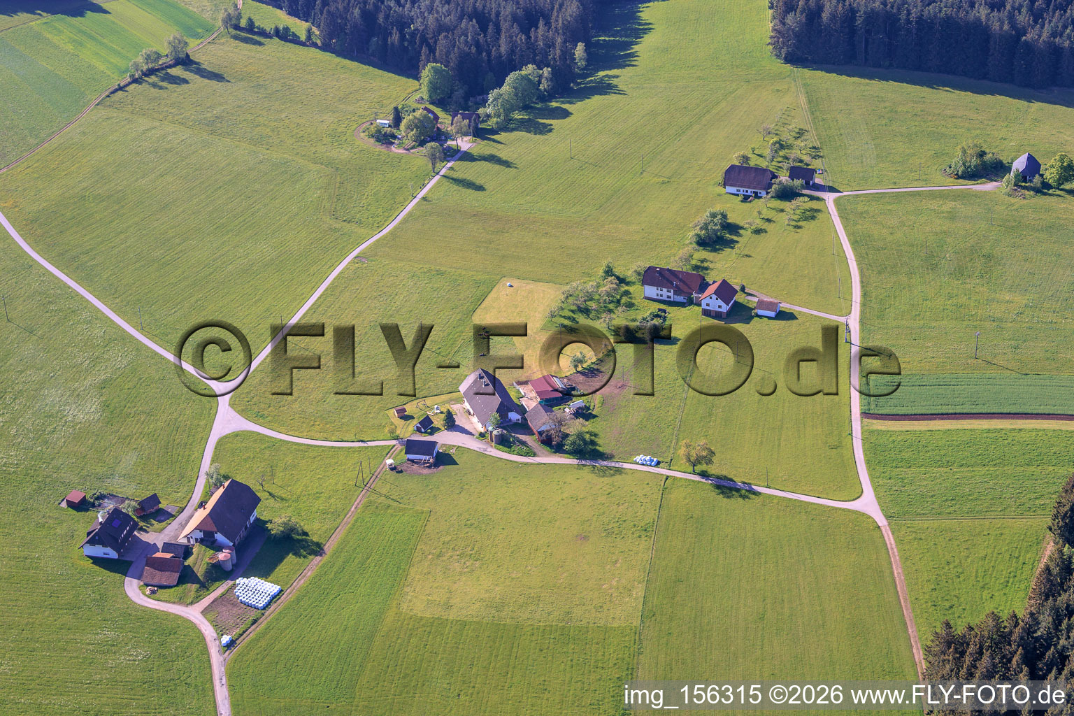 Relocated farms in Oehle in the district Tennenbronn in Schramberg in the state Baden-Wuerttemberg, Germany