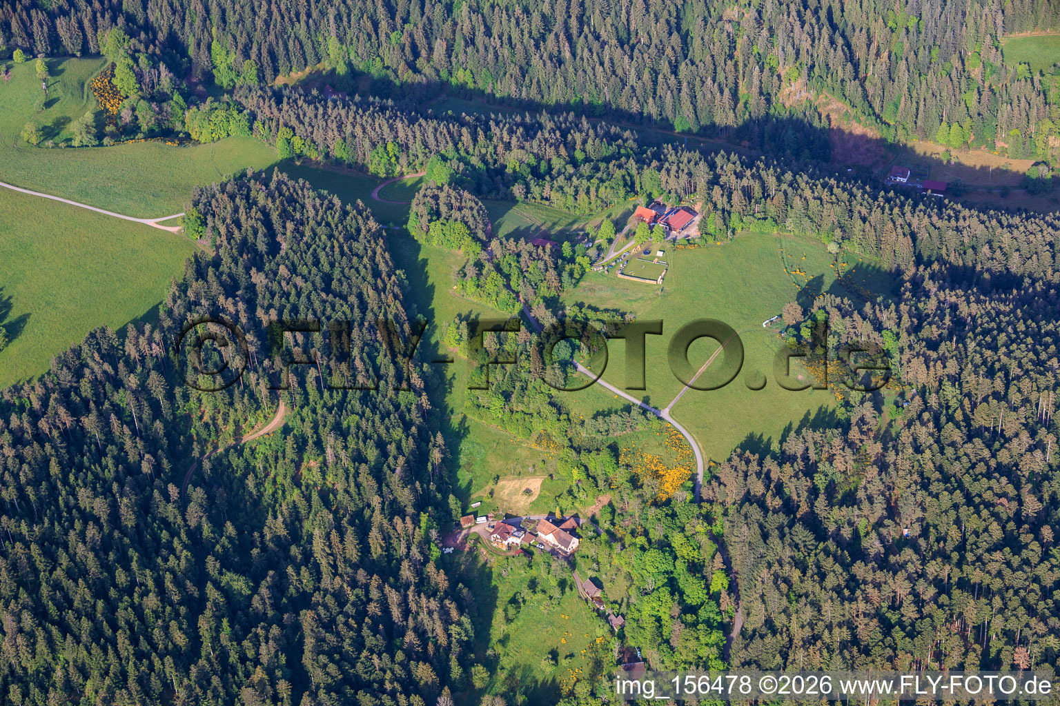 Black Forest farms in the district Kienbächle in Schiltach in the state Baden-Wuerttemberg, Germany