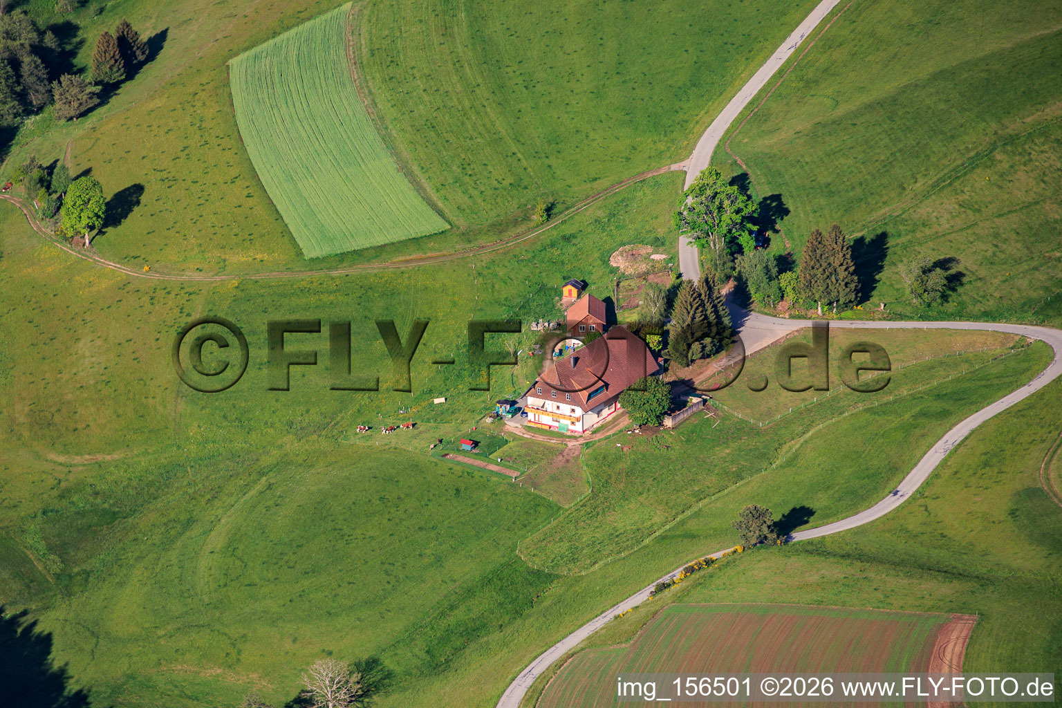 Vogtsbauer (Black Forest) at Mooswald in the district Diesenhof in Lauterbach in the state Baden-Wuerttemberg, Germany
