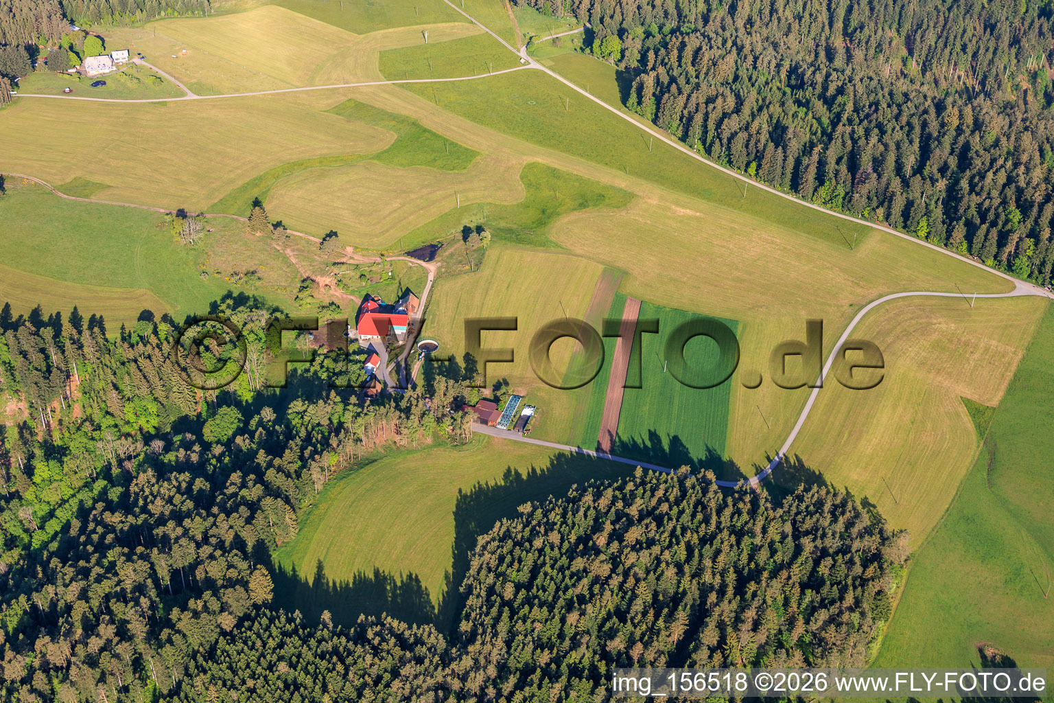 Black Forest farms in the district Unter-Reichenbach in Hornberg in the state Baden-Wuerttemberg, Germany
