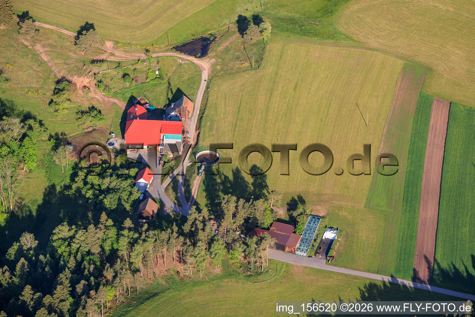 Black Forest farms in the district Fohrenbühl in Hornberg in the state Baden-Wuerttemberg, Germany