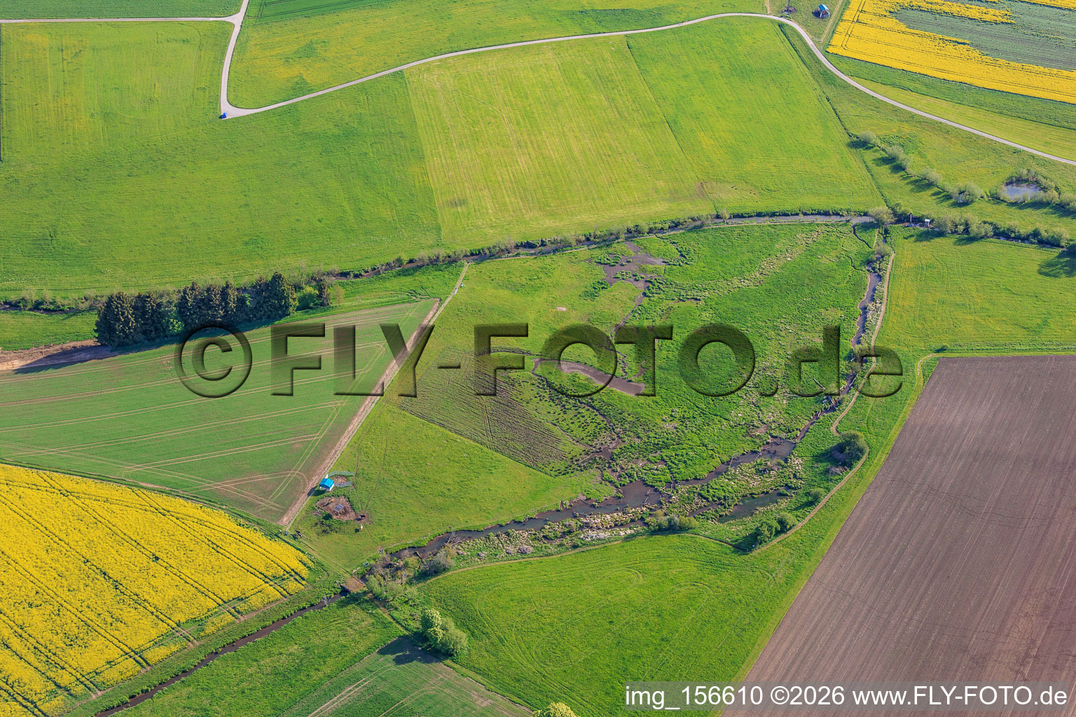 Moor between Eberbach and Eschach in Dunningen in the state Baden-Wuerttemberg, Germany