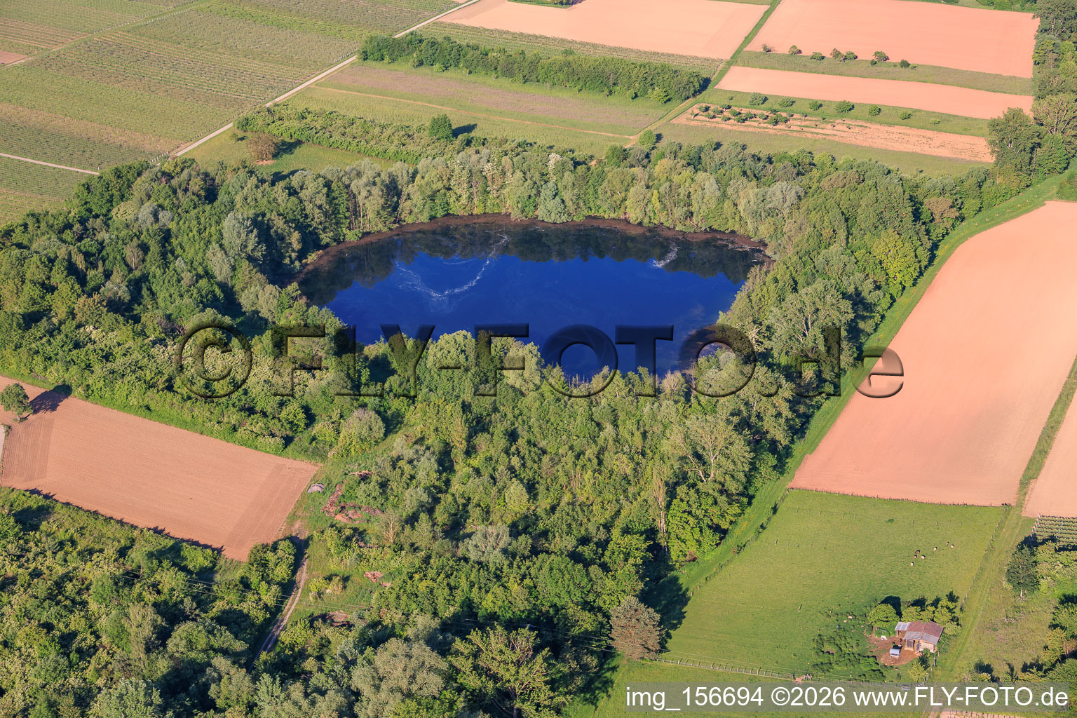 Biotope pond, old clay pit in Göcklingen in the state Rhineland-Palatinate, Germany
