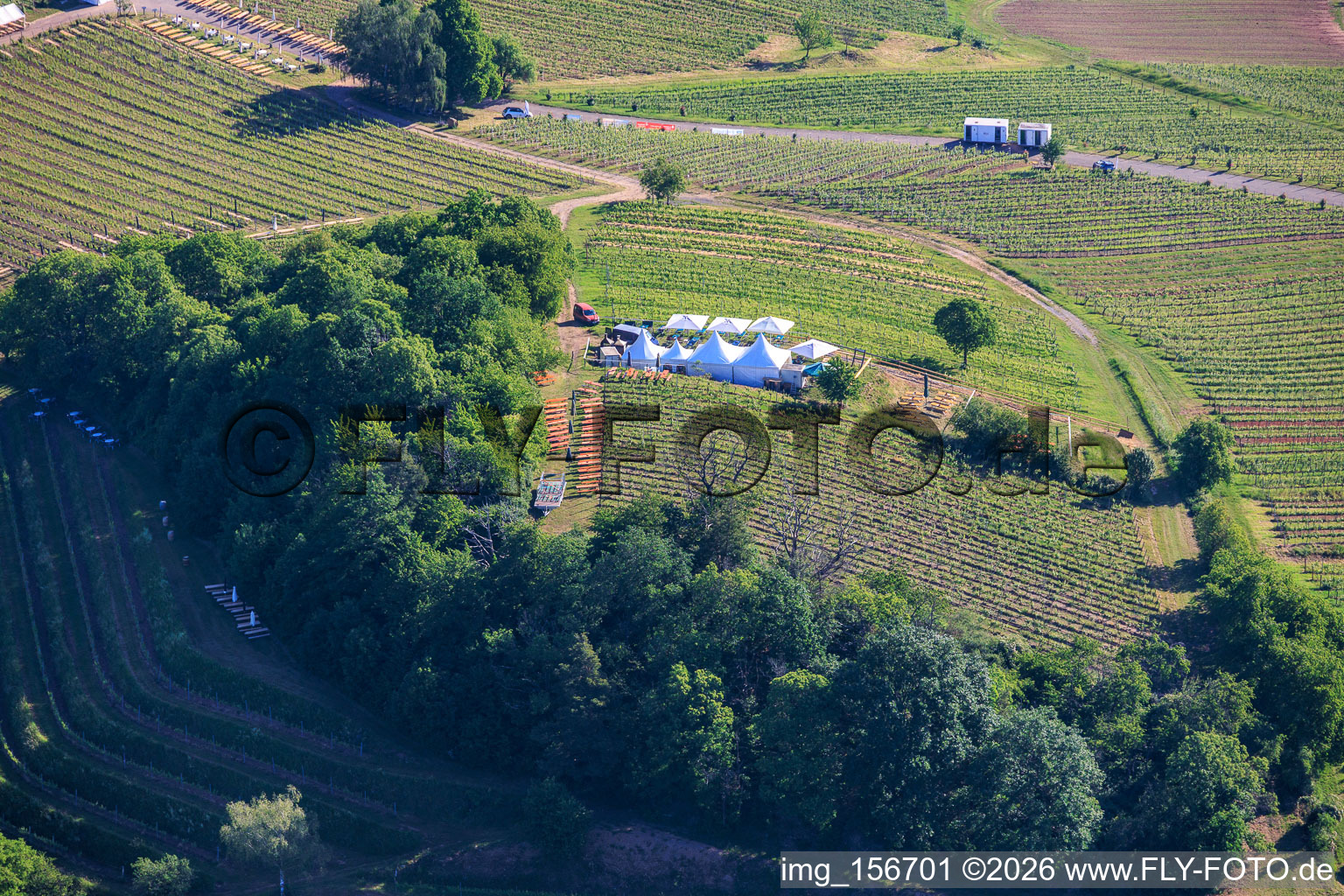 Wine Spring Festival at Pentecost in the vineyard. Large wine presentation amidst the "Kastanienbusch" vineyard (Most Beautiful Wine Festival in the Palatinate 2012) in Birkweiler in the state Rhineland-Palatinate, Germany