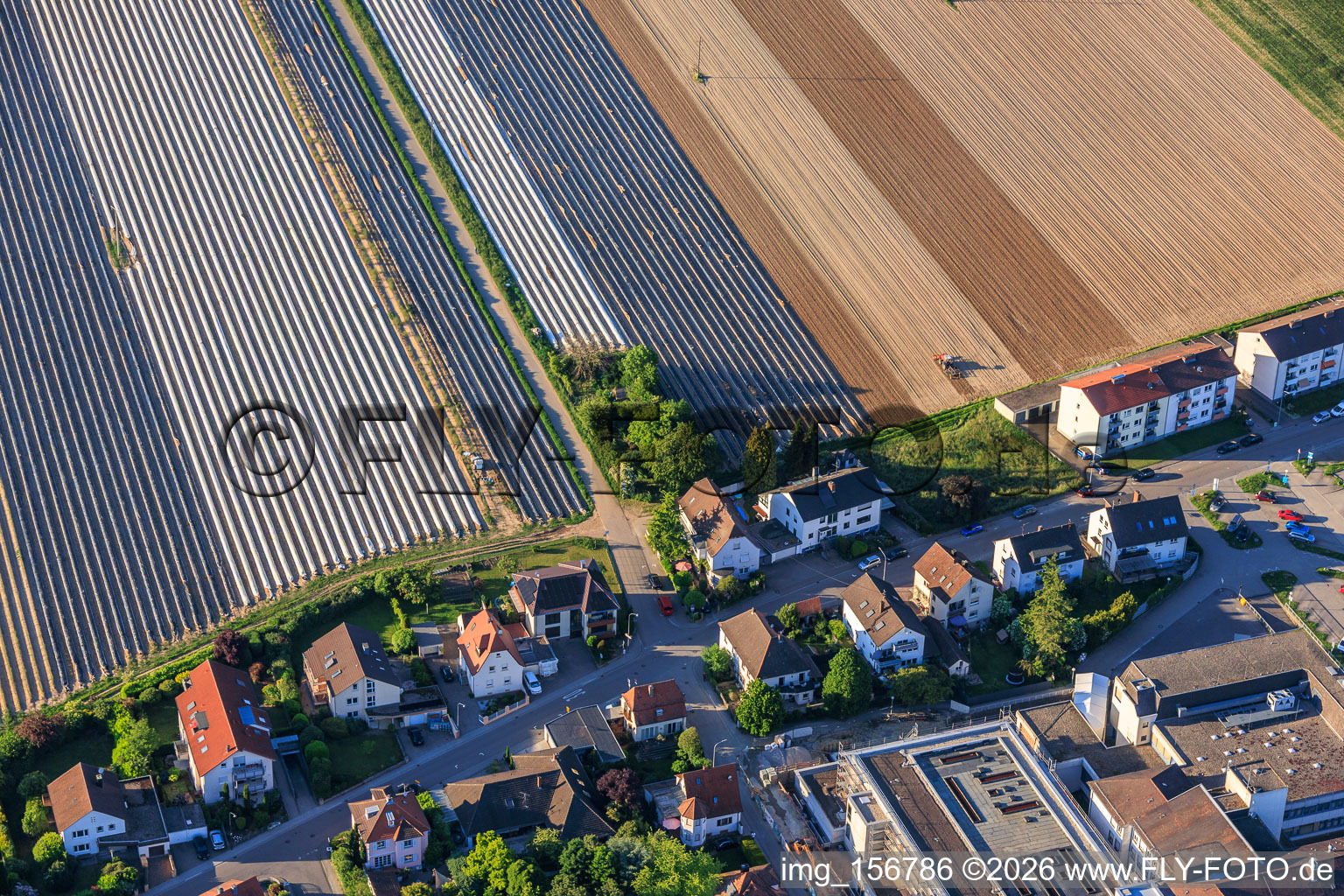 Asparagus fields beyond Zeppelin Street in Kandel in the state Rhineland-Palatinate, Germany