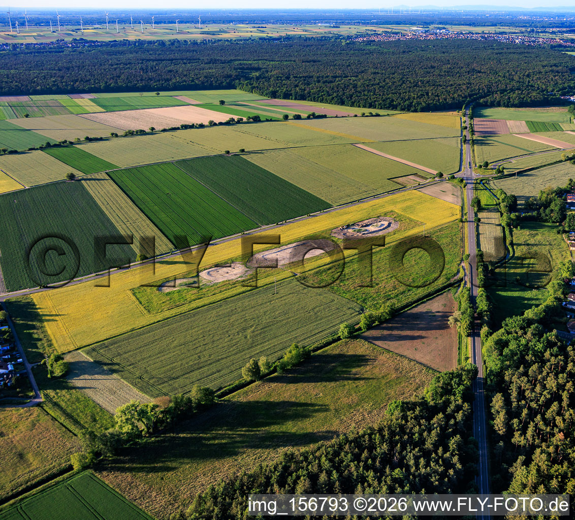 New creation of biotope compensation areas for the relocation of the lapwing as a result of the wind farm on Maxstrasse in Hatzenbühl in the state Rhineland-Palatinate, Germany