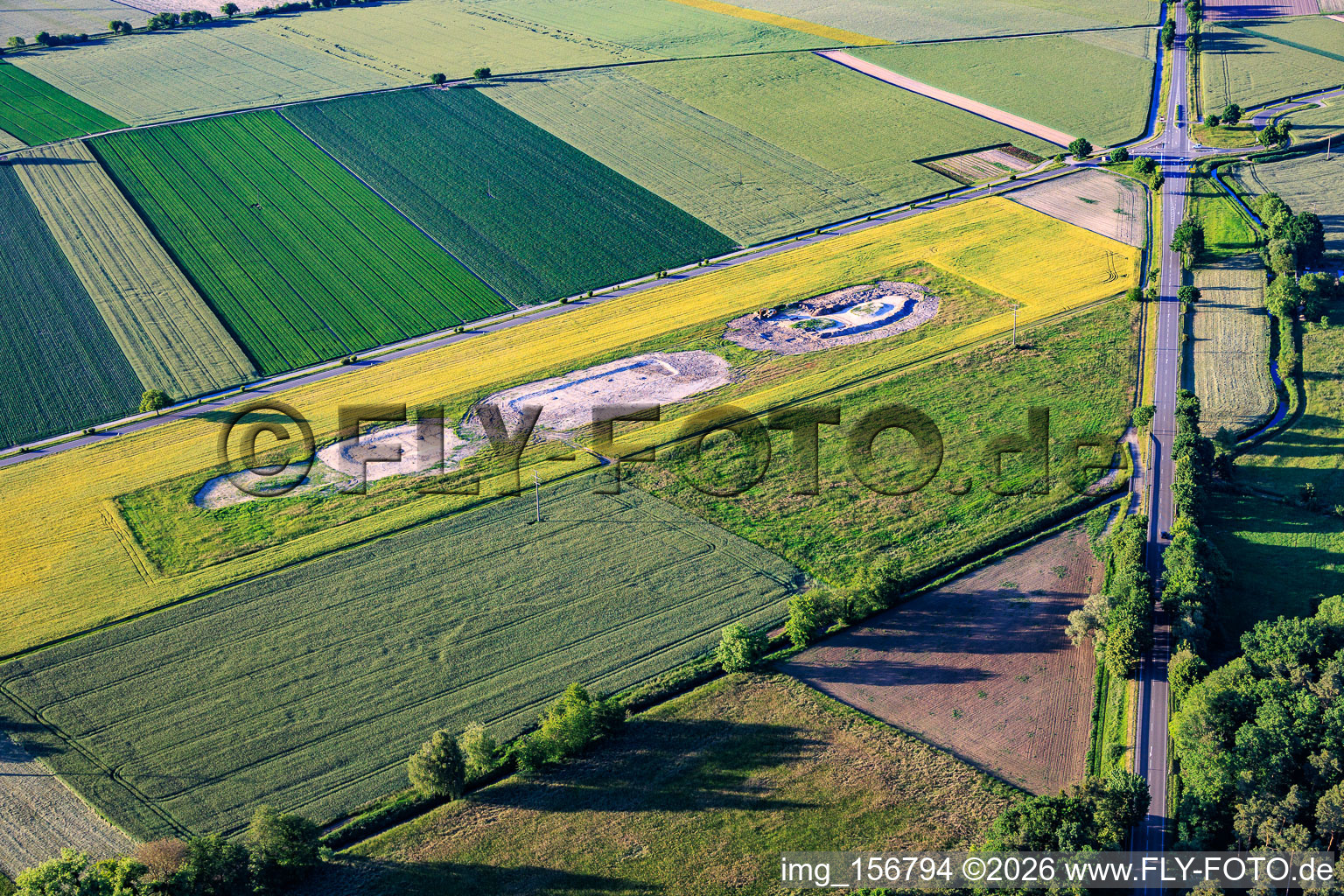 New creation of biotope compensation areas for the relocation of the lapwing as a result of the wind farm on Maxstrasse in Hatzenbühl in the state Rhineland-Palatinate, Germany