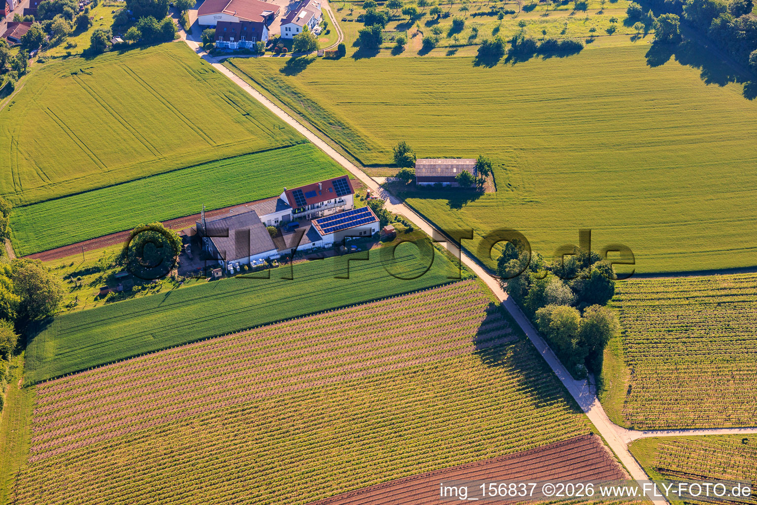 Kehler Hof in the district Ingenheim in Billigheim-Ingenheim in the state Rhineland-Palatinate, Germany