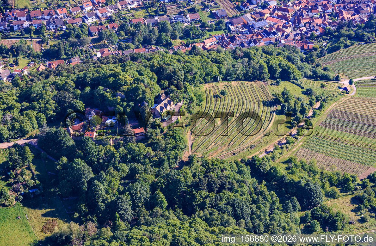 Kropsburg Castle in the district SaintMartin in Sankt Martin in the state Rhineland-Palatinate, Germany