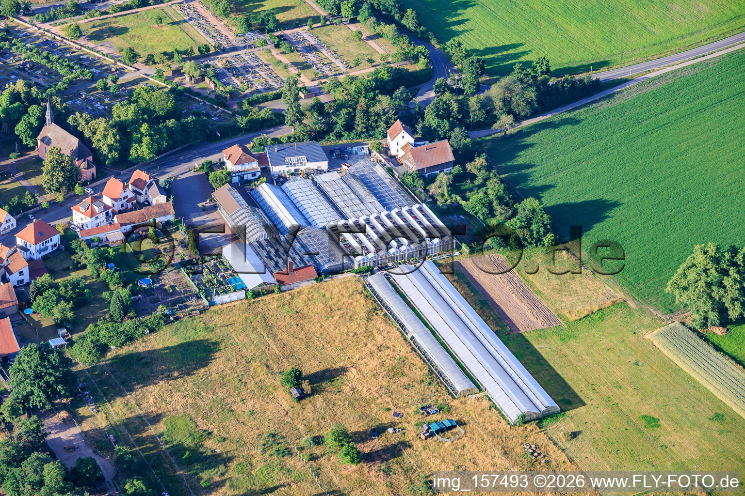 Plant World Service - Garden Center in the district Iggelheim in Böhl-Iggelheim in the state Rhineland-Palatinate, Germany