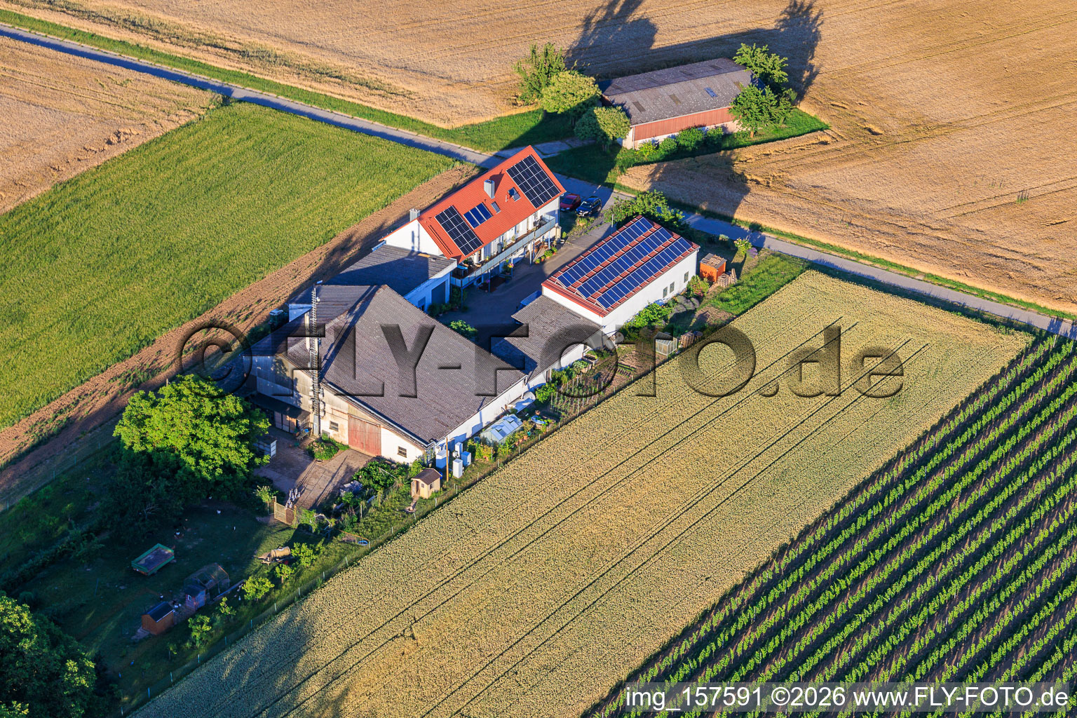 Kehler Hof farmstead in the district Ingenheim in Billigheim-Ingenheim in the state Rhineland-Palatinate, Germany