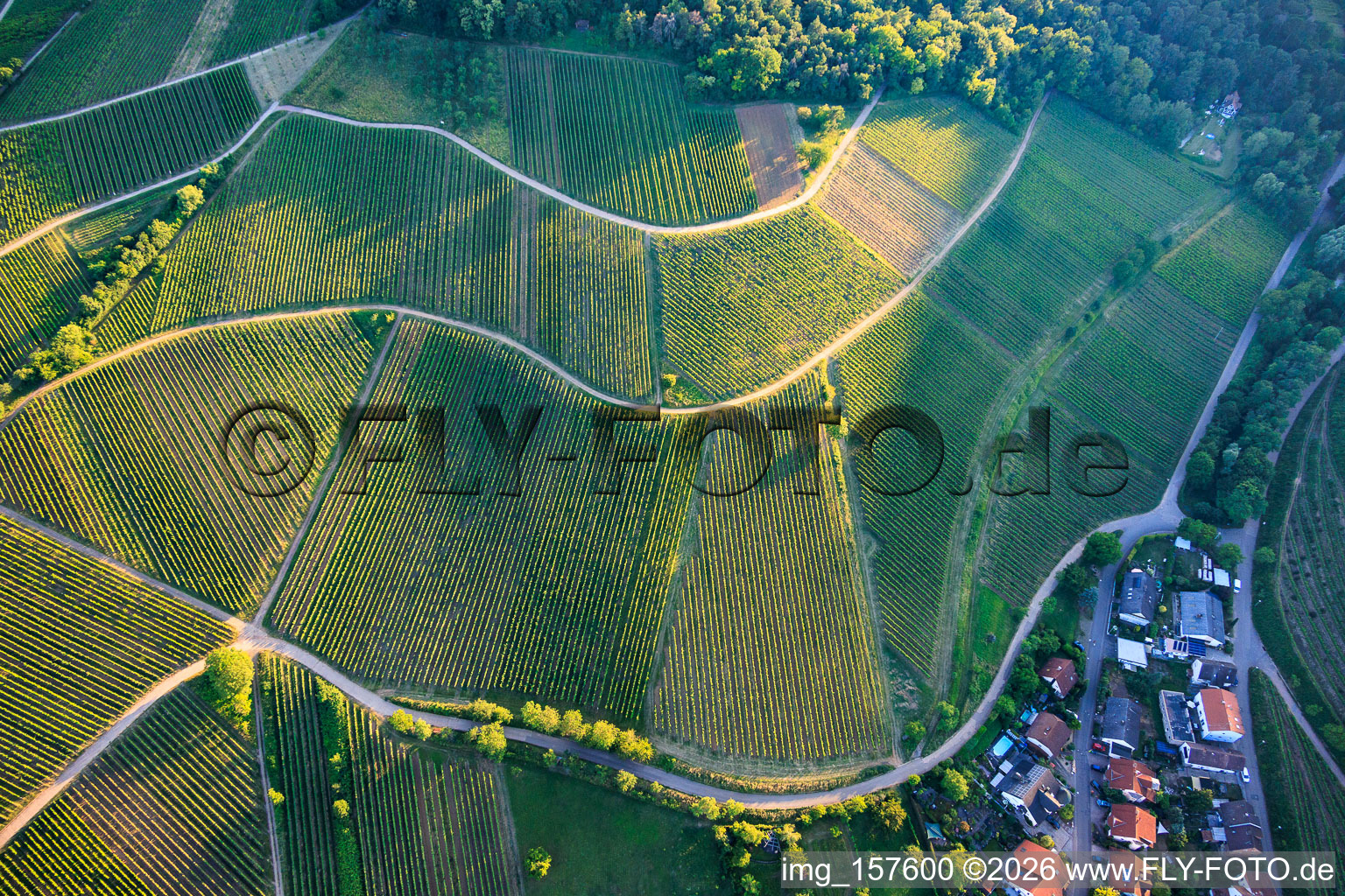 Mandelhein and Kastanienbusch vineyards in Birkweiler in the state Rhineland-Palatinate, Germany