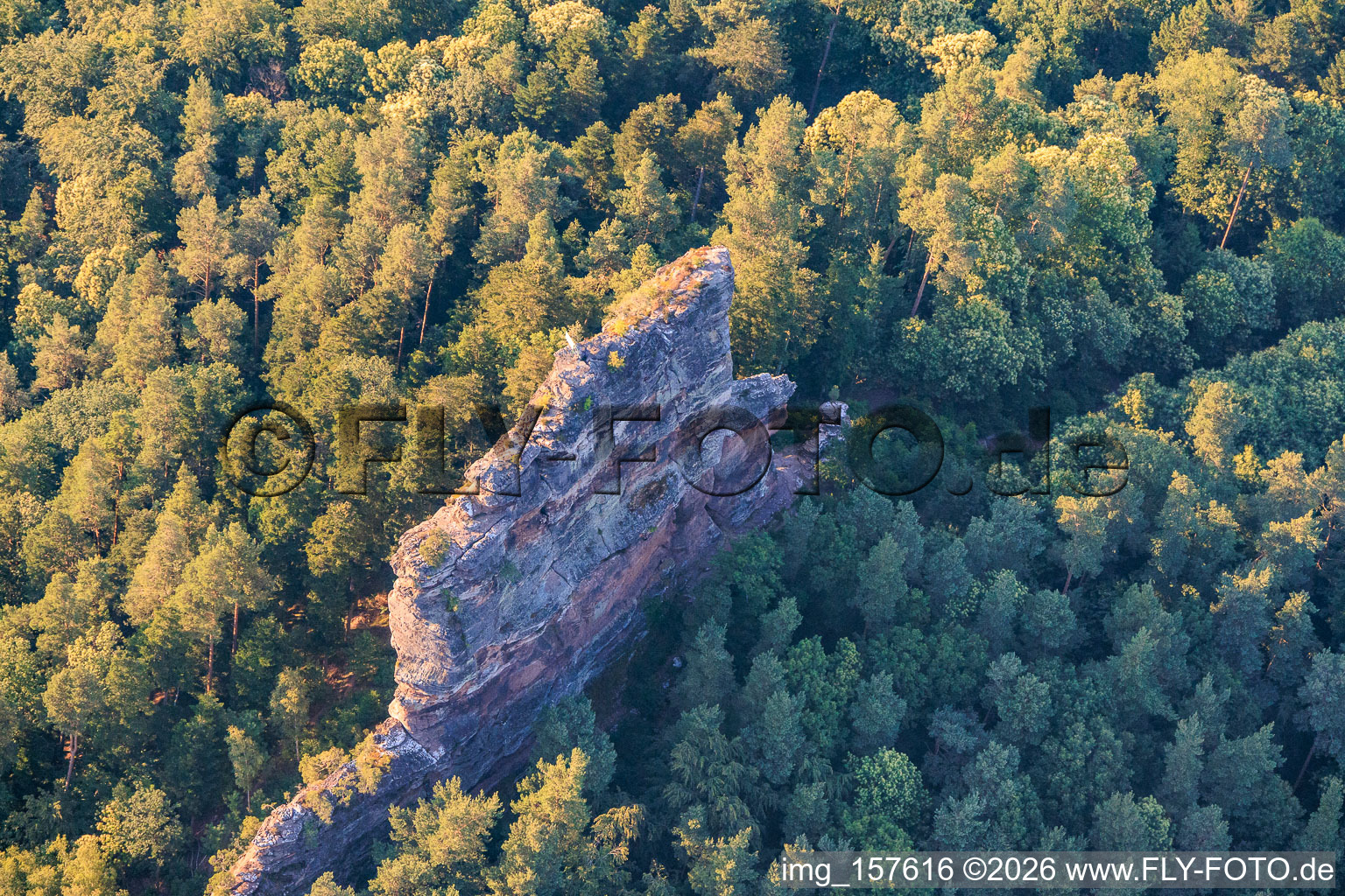 Asselstein climbing rock in Annweiler am Trifels in the state Rhineland-Palatinate, Germany