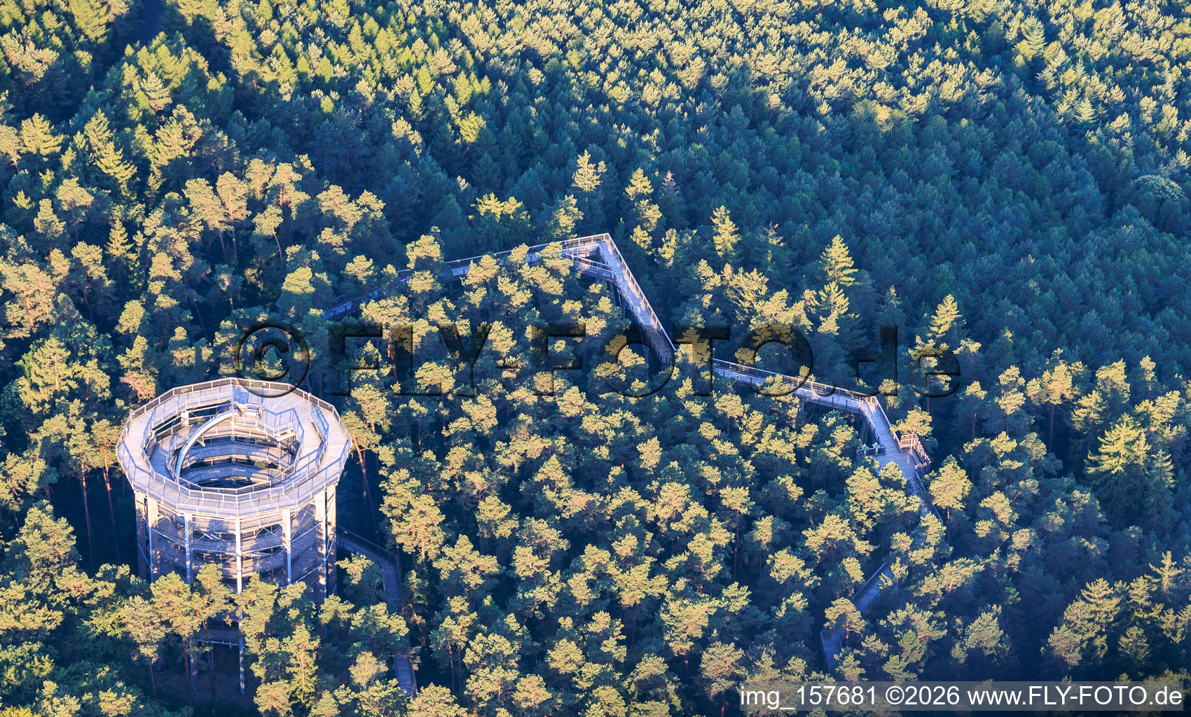 Treetop Walk Alsace / Chemin des Cimes Alsace in Cleebourg in the state Bas-Rhin, France