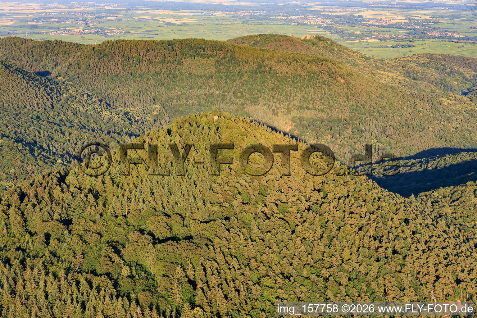 Rehberg Tower in Waldrohrbach in the state Rhineland-Palatinate, Germany