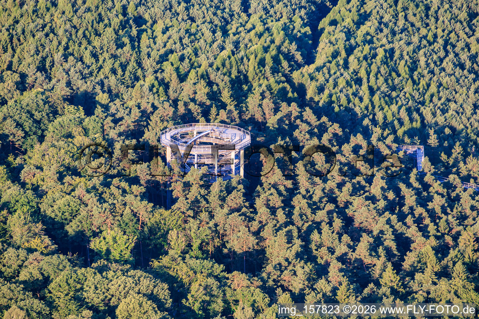 Treetop Walk Alsace / Chemin des Cimes Alsace in Cleebourg in the state Bas-Rhin, France