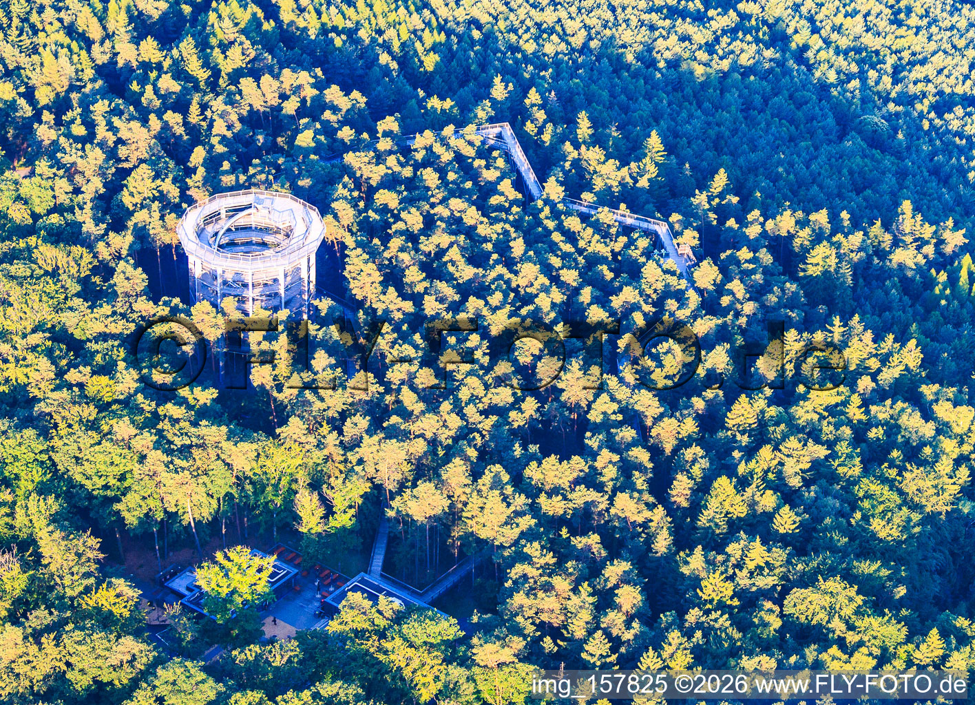 Treetop Walk Alsace / Chemin des Cimes Alsace in Cleebourg in the state Bas-Rhin, France