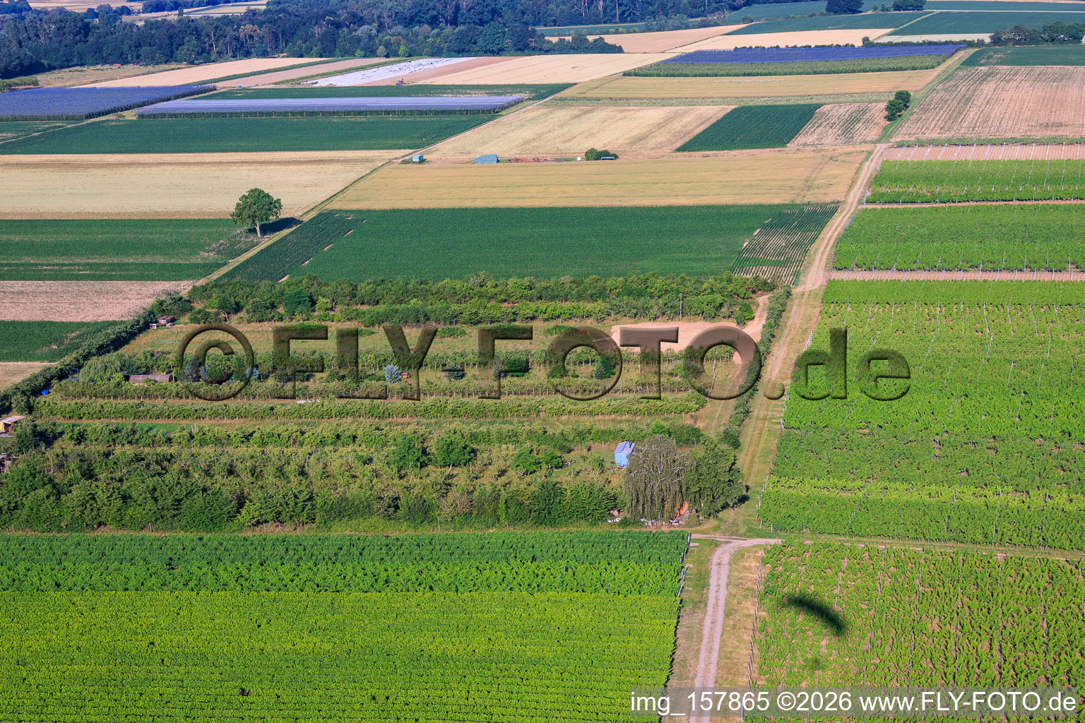 Plantation with work area for wind turbine construction in the district Mühlhofen in Billigheim-Ingenheim in the state Rhineland-Palatinate, Germany
