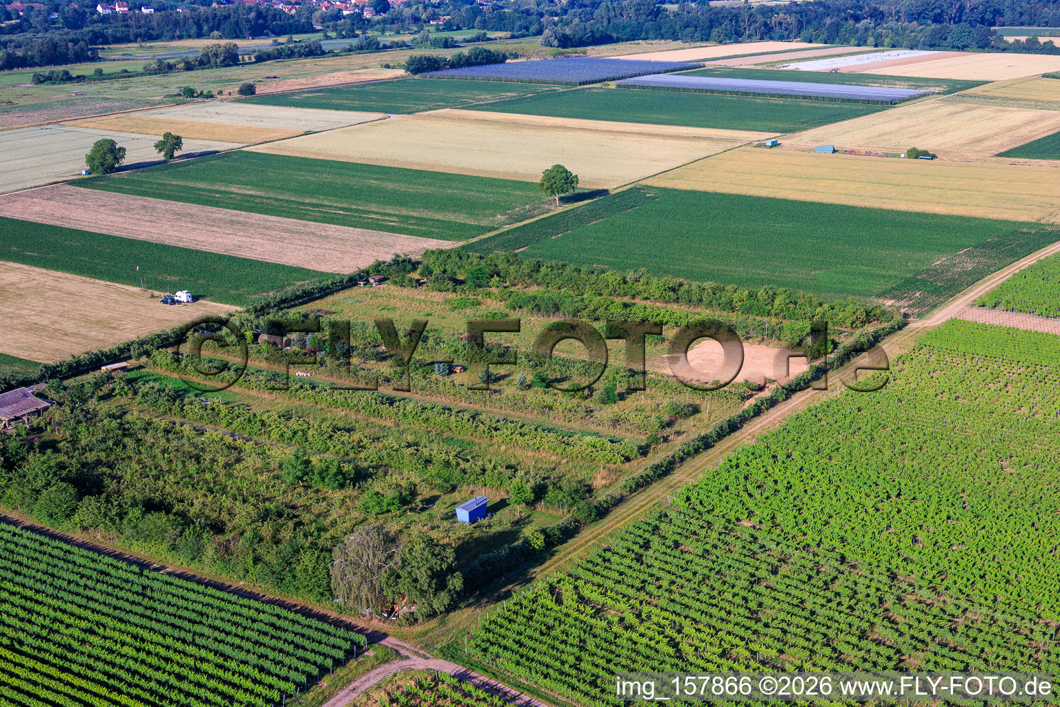 Plantation with work area for wind turbine construction in the district Mühlhofen in Billigheim-Ingenheim in the state Rhineland-Palatinate, Germany