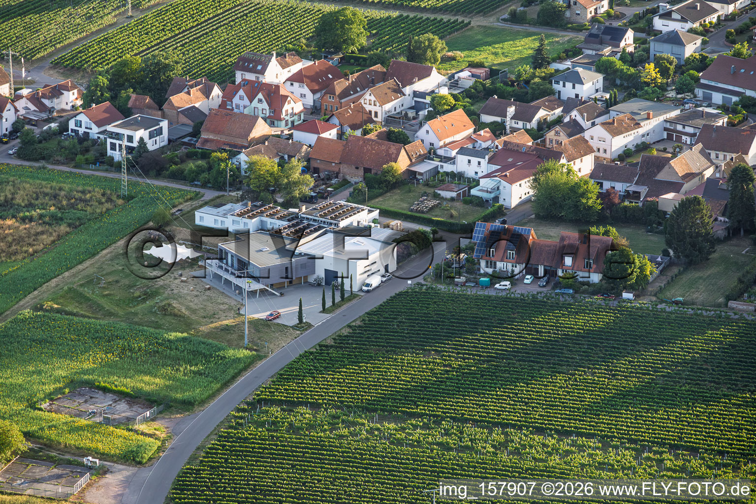Wine shop Weingut Sauer in Nußdorf in the district Nußdorf in Landau in der Pfalz in the state Rhineland-Palatinate, Germany