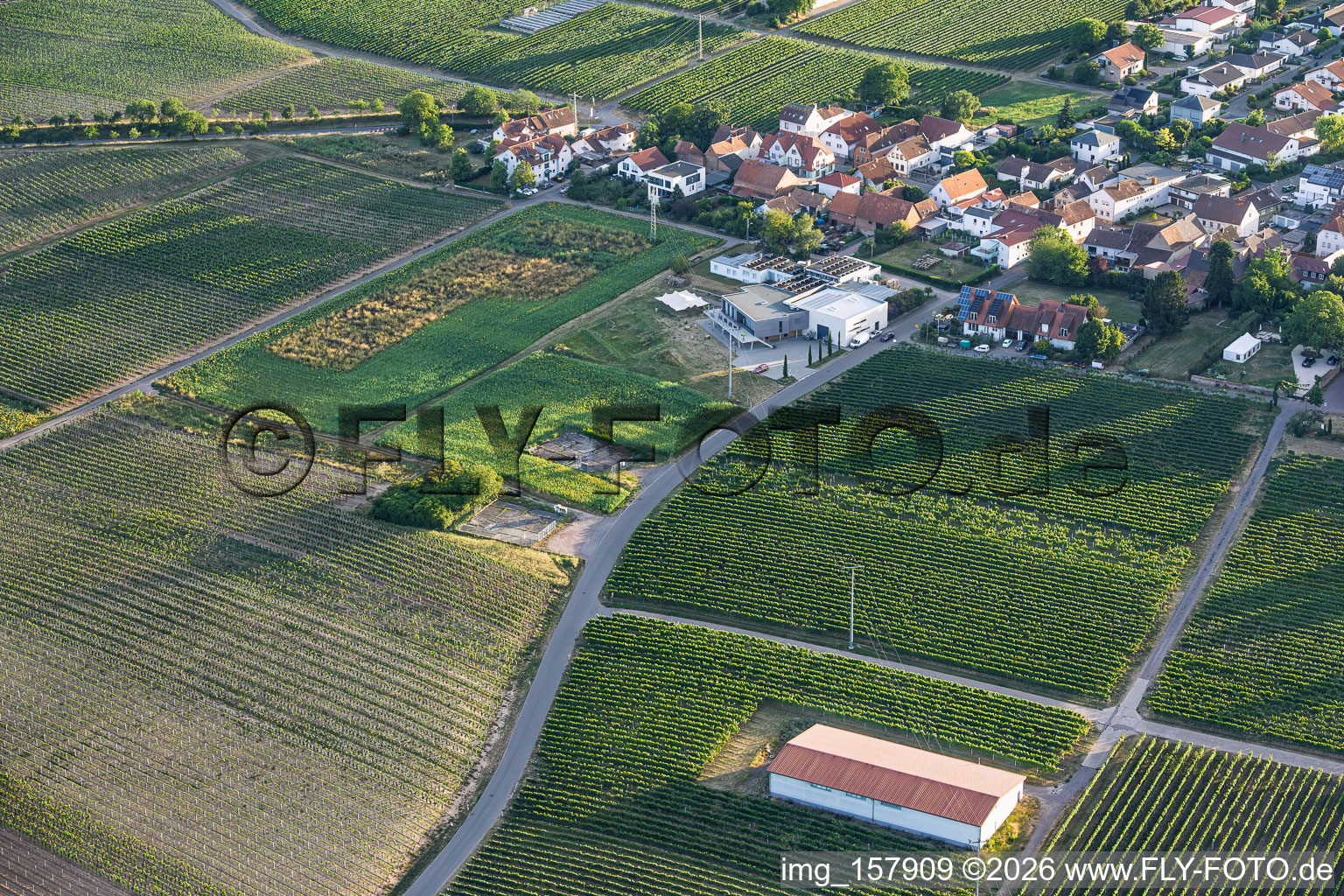 Wine shop Weingut Familie Sauer in the district Nußdorf in Landau in der Pfalz in the state Rhineland-Palatinate, Germany