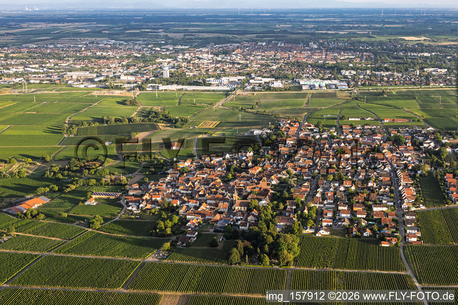Winegrowing village from the north in the district Nußdorf in Landau in der Pfalz in the state Rhineland-Palatinate, Germany