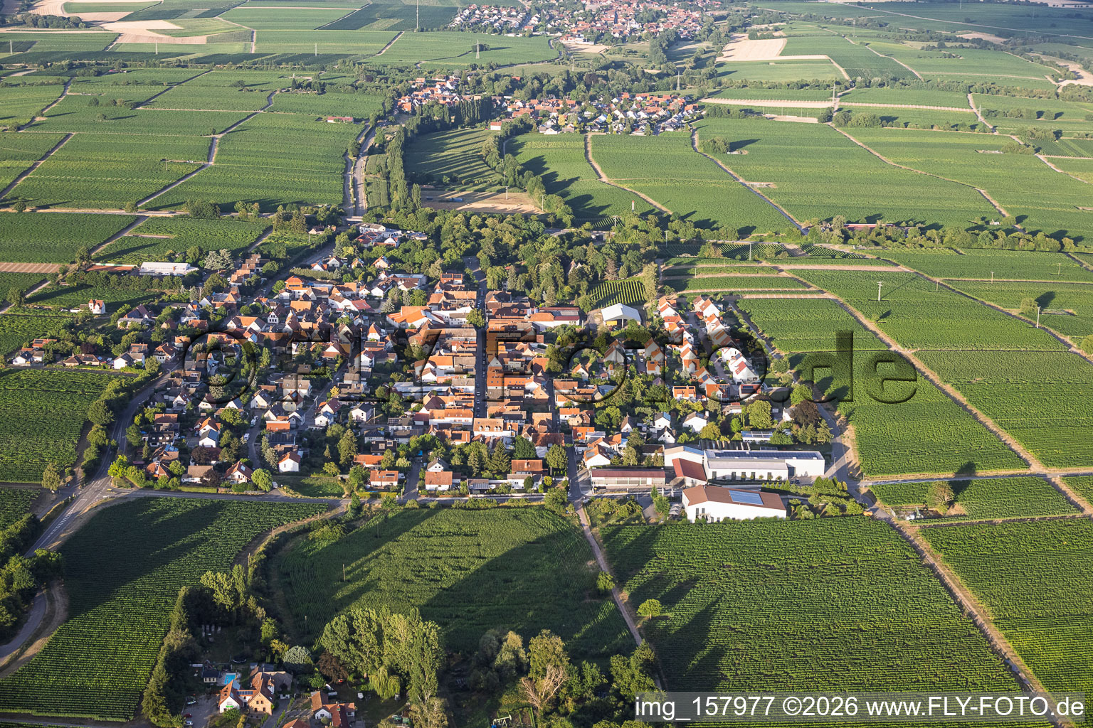Village view from the west with the Karl Pfaffmann winery in Walsheim in the state Rhineland-Palatinate, Germany