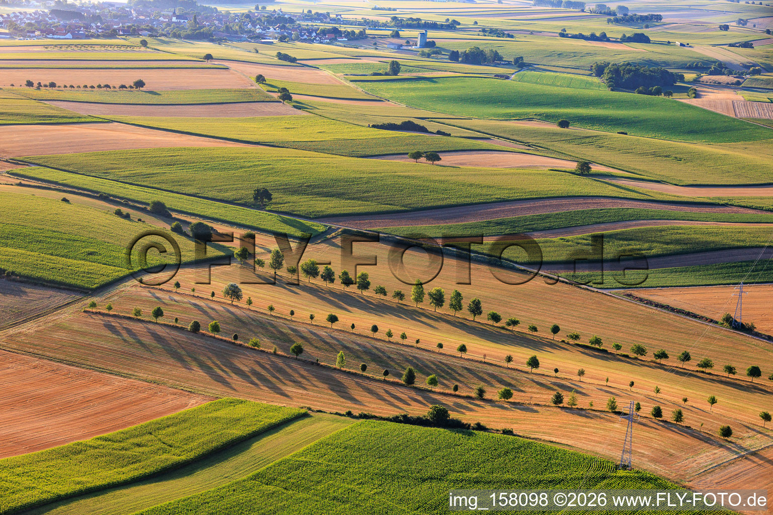 Rows of trees along field paths between stubble fields in Schleithal in the state Bas-Rhin, France