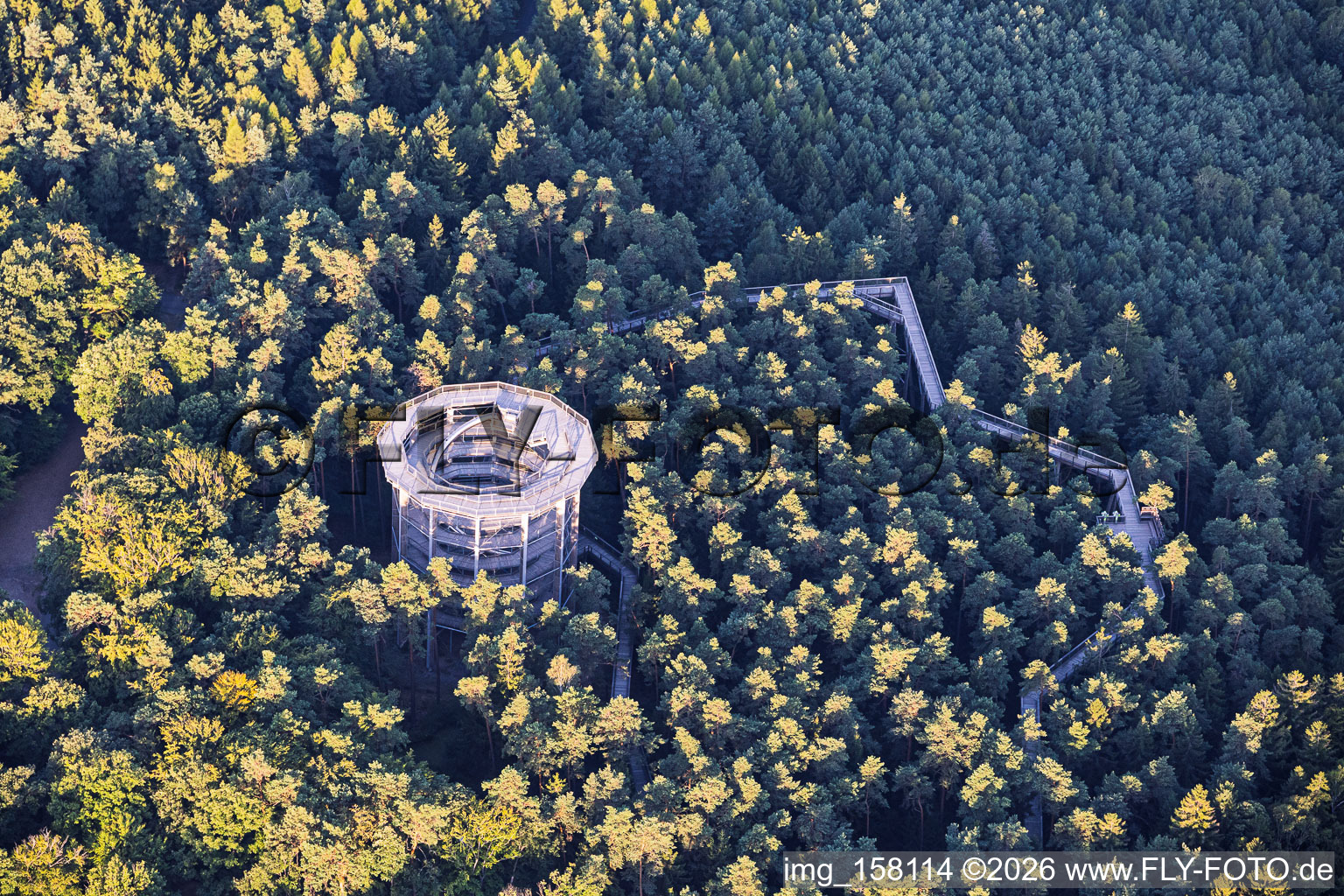 Treetop Walk Alsace / Chemin des Cimes Alsace in Cleebourg in the state Bas-Rhin, France