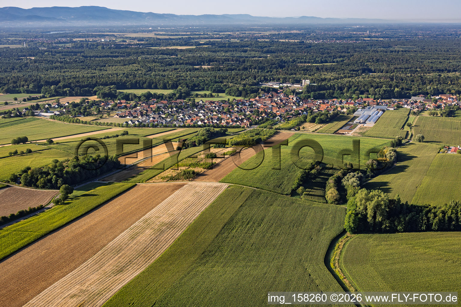 From the north in Niederrœdern in the state Bas-Rhin, France