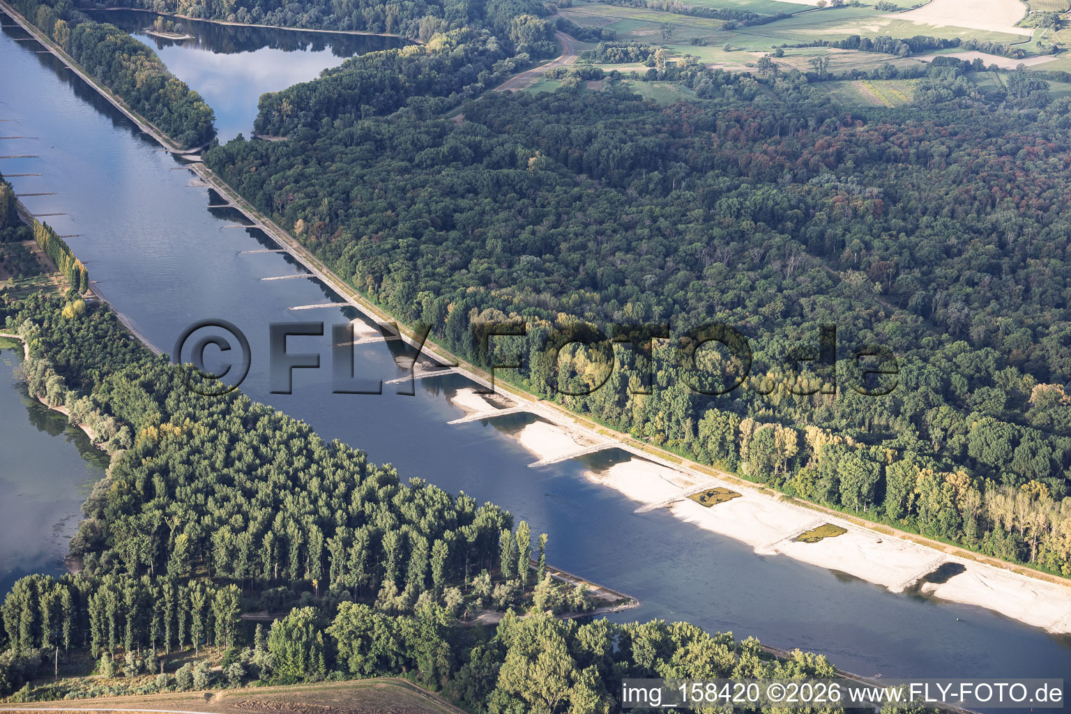 Sandbanks and groynes at low water on the Rhine between Hördter Rheinaue and Dettenheim in Hördt in the state Rhineland-Palatinate, Germany