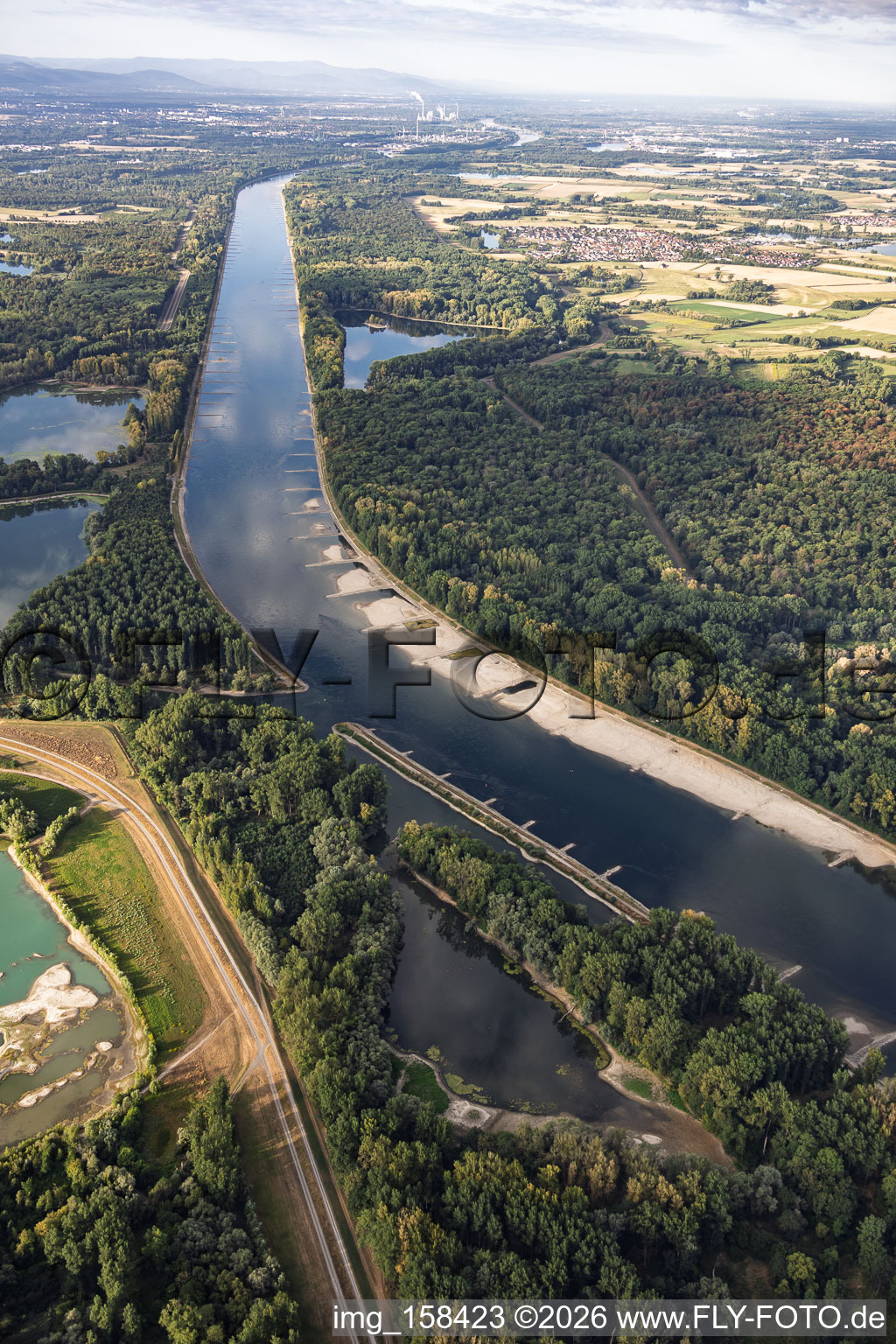 Sandbanks and groynes at low water on the Rhine between Hördter Rheinaue and Rott Island in Hördt in the state Rhineland-Palatinate, Germany