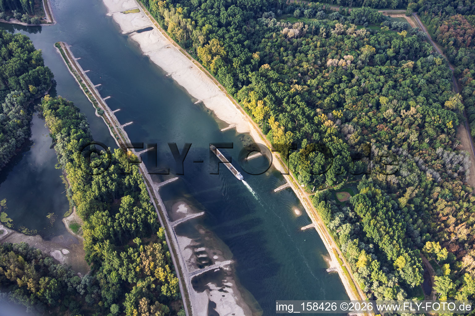 Empty cargo ship at low water on the Rhine between Hördter Rheinaue and Dettenheim in Hördt in the state Rhineland-Palatinate, Germany