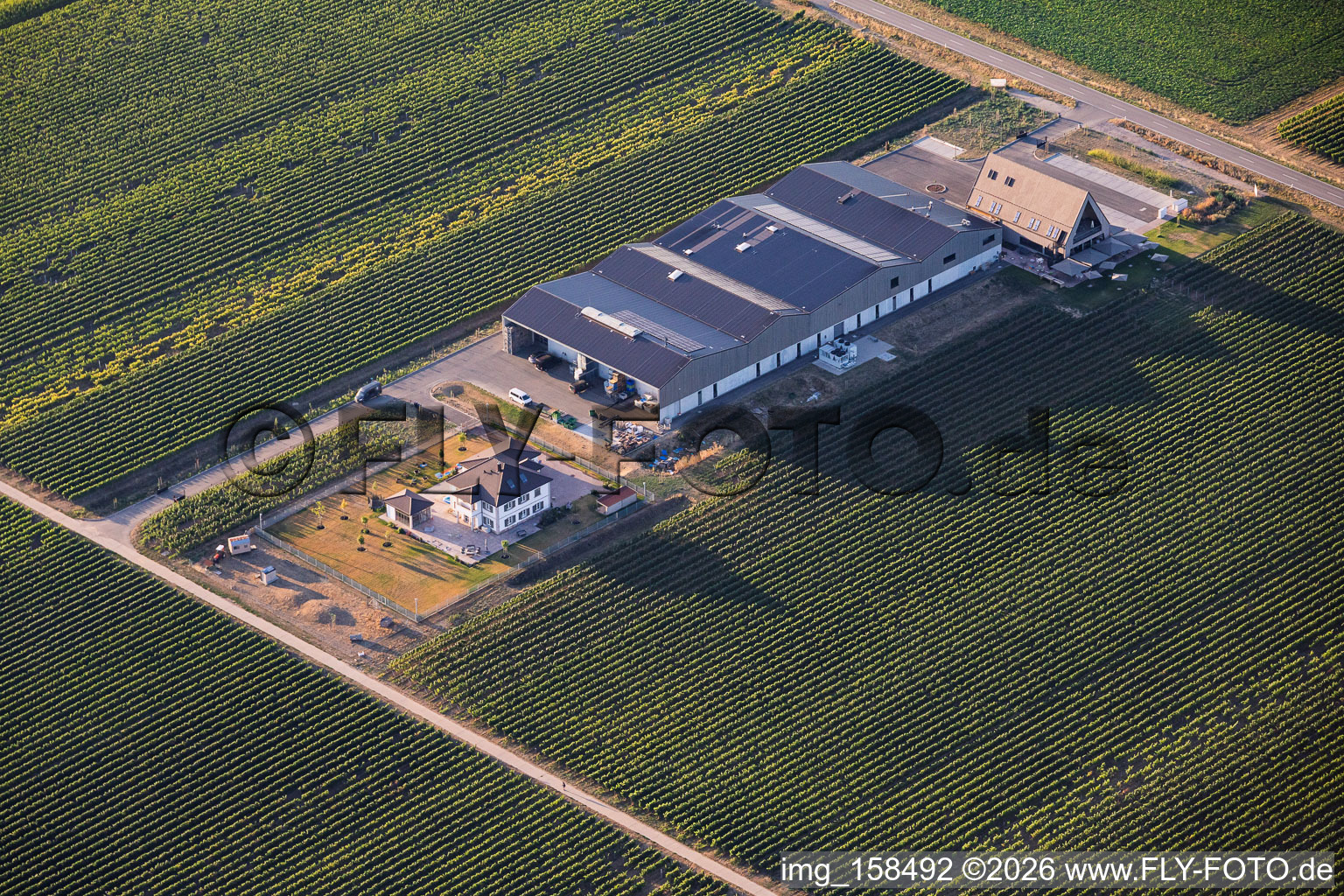 Ellermann-Spiegel Winery in Kleinfischlingen in the state Rhineland-Palatinate, Germany